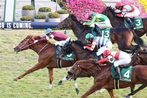 【京都2歳s】良血シンエンペラー連勝で重賞初制覇 モレイラ騎手「能力の高い馬しかできない勝ち方」｜競馬ニュース｜競馬予想のウマニティ