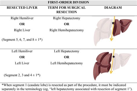 Liver Surgery Important Considerations For Pre And Postoperative