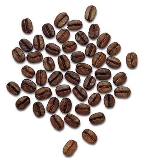 Beans PNG Transparent Images