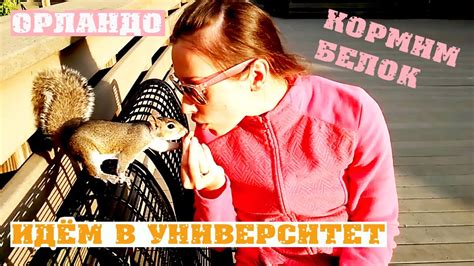 Второй по величине университет США в Орландо и ручные белки - YouTube