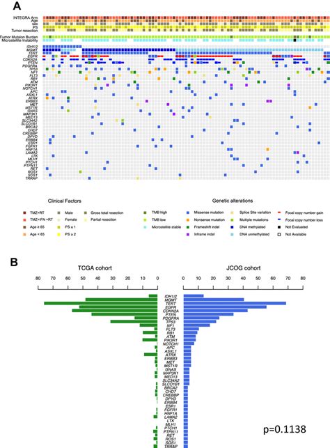 The Landscape Of Newly Diagnosed Gbms In The Jcog0911 Cohort Deep