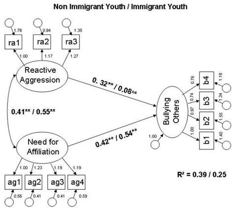 Multiple Group Structural Equation Models Separately For Immigrant And