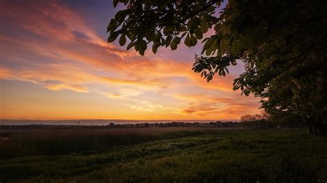 Premium Photo Beautiful Sunset Over The Field