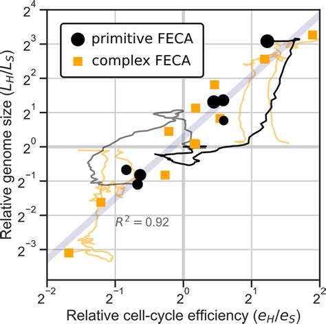 Asymmetry in genome size correlates strongly with asymmetry in ...