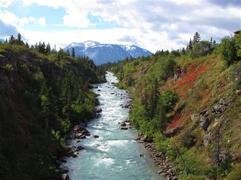 Yukon Suspension Bridge. Alaska