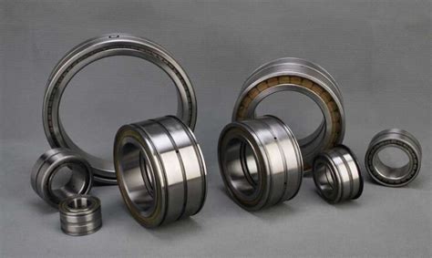 Nnf Ada Lsv Bearing Double Row Full Complement Cylindrical Bearing