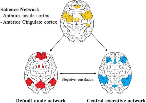 從中國經典認識大腦系列庖丁能解牛是因為Zone PanSci 泛科學