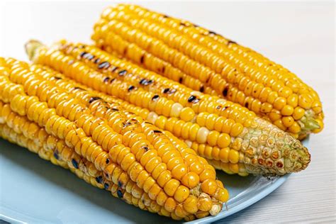 young yellow corn grill closeup creative commons bilder