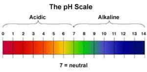 Understanding Potential Hydrogen (pH) | The Shrimp Farm