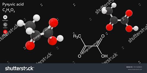 Pyruvic Acid Molecular Formula C3h4o3 Intermediate Stock Illustration 1351600805 Shutterstock