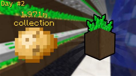 Farming To 500 Million Potatoes In Hypixel Skyblock Day 2 Youtube