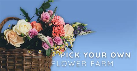 There is a pick your own flower farm in Idaho that will take your ...