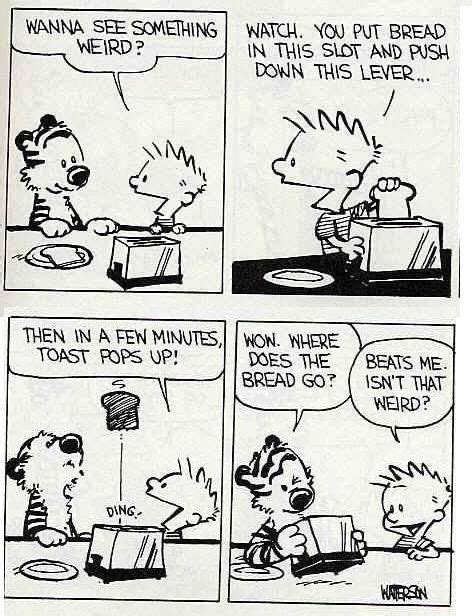 Pin By Lee Jones On Calvin Hobbes Calvin And Hobbes Humor Calvin