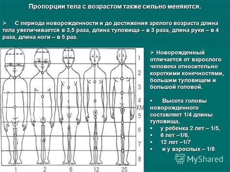 Презентация на тему: "Физическое развитие детей разных возрастных групп ...