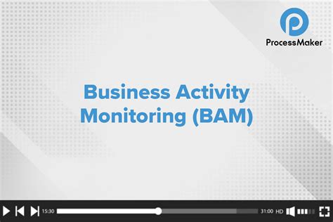 Business Activity Monitoring Bam Processmaker