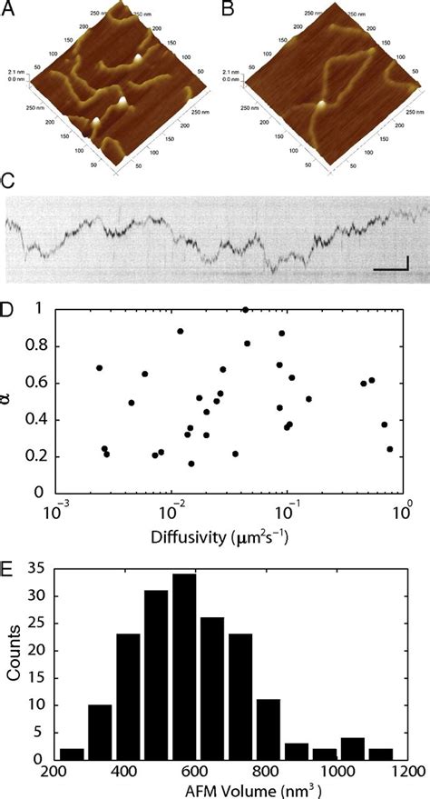 Single Molecule Analysis Reveals Human Uv Damaged Dna Binding Protein