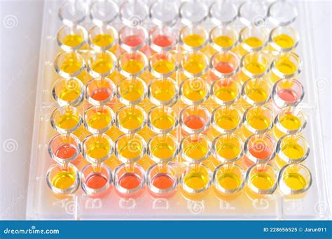 Enzyme Linked Immunosorbent Assay Or Elisa Plate Stock Image Image Of