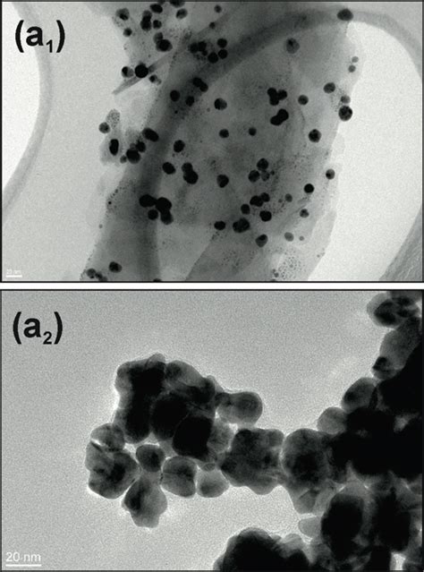 Un Paso Adelante Hacia El Uso De Nanopart Culas Para Combatir La