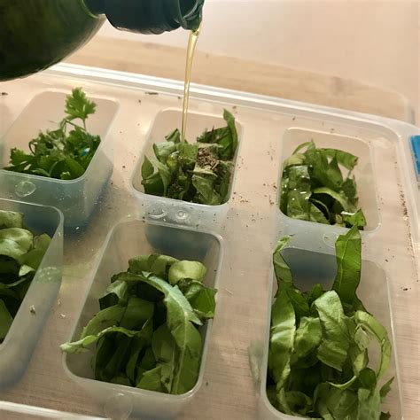 Preserving Summer Herbs – birdbelly