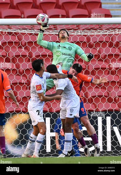 brisbane australia  mar  auckland fc goal keeper alex