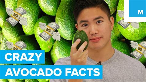 9 Mind-Blowing Facts About the Avocado - Sharp Science - YouTube