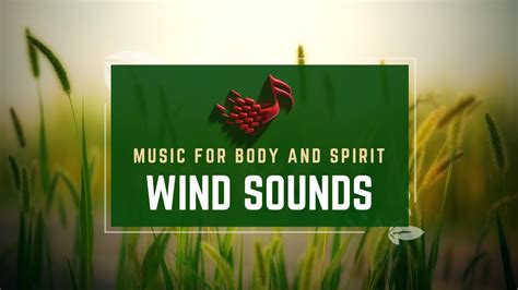 Wind Sounds Relaxing Wind Sounds For Sleeping Or Stress Relief K Uhd