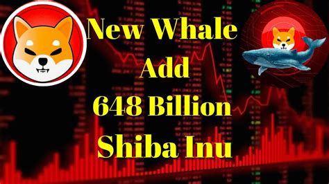 Breaking Crypto News New Whale Becomes Th Biggest After Adding B