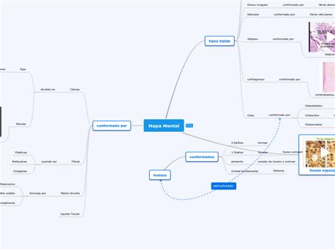 Tejido Conectivo Mapa Mental