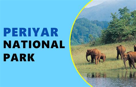 Periyar National Park, Kerala: Preserving the Pristine Beauty of ...