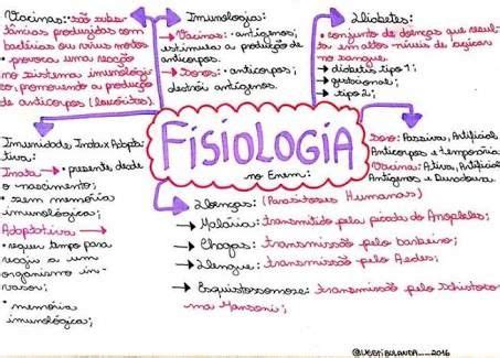 Enem Fisiologia Humana - Fisiologia Humana No Enem Dicas De Fisiologia No Enem