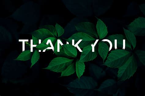 creative manipulation behance