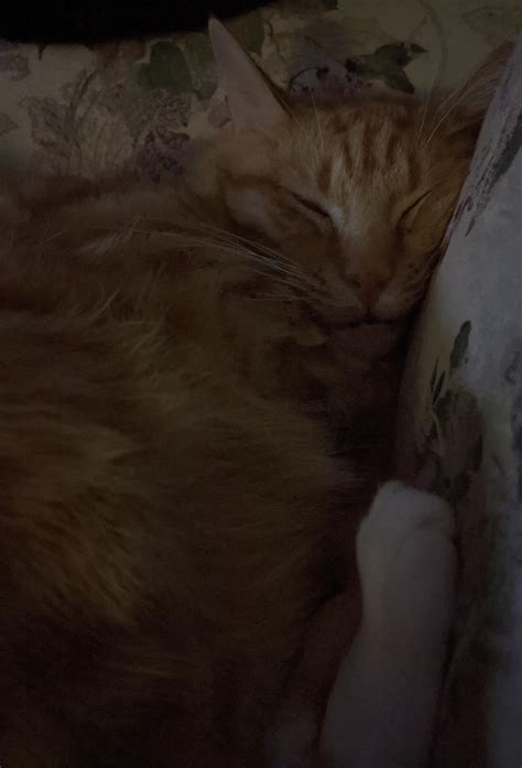 When you ate too much at dinner. 😂 | Scrolller