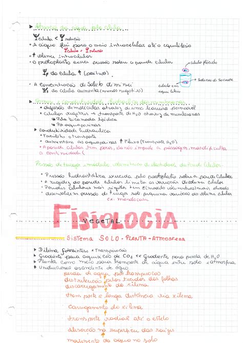 Propriedades Fisico Quimicas Da Agua