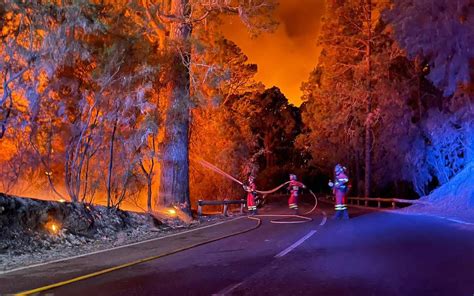 Waldbrand Auf Teneriffa 5000 Hektar Natur Brennen