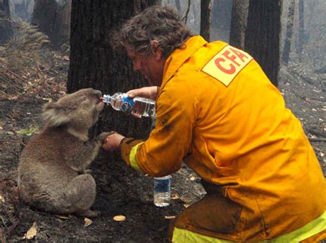 In pictures: Black Saturday still haunts Australians, 10 years on | SBS ...