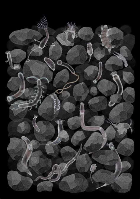 billion species dr ross piper