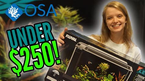 Build An Aquarium On A BUDGET YouTube