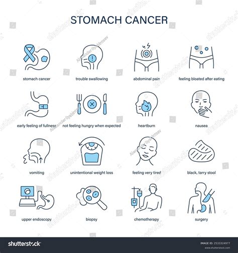 Stomach Cancer Symptoms Diagnostic Treatment Vector Stock Vector