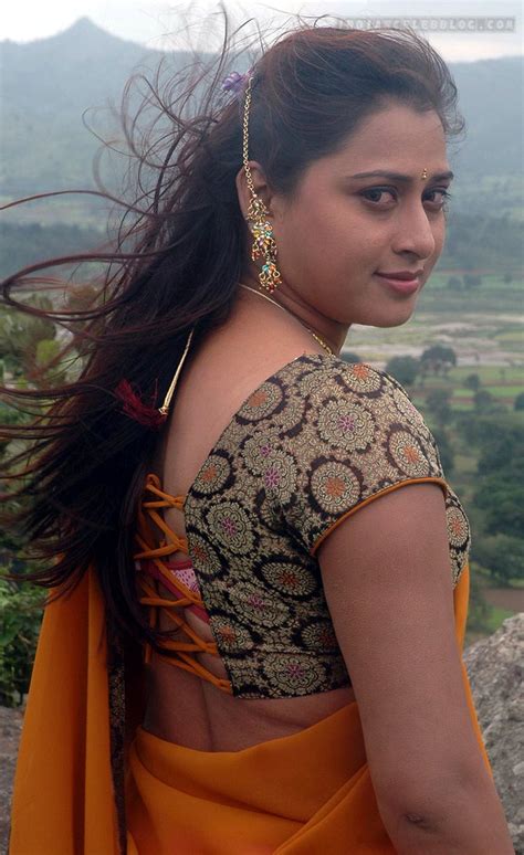 Farah Khan Telugu Actress 6 Hot Saree Hd Movie Stills Indiancelebblog