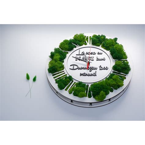 Ceas de perete decorat cu licheni naturali stabilizati, mix de culori