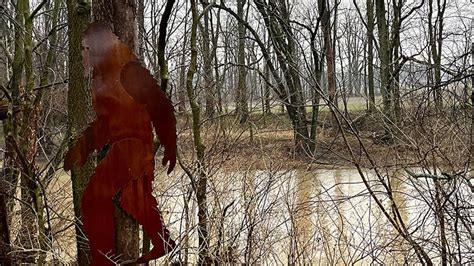 unknown animal sightings
