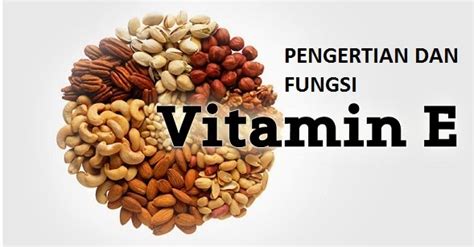 Pengertian Fungsi Dan Sumber Vitamin E Serta Risiko Kekurangannya