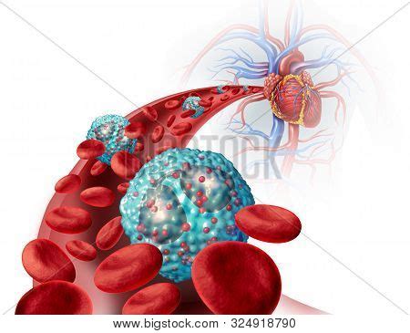 Eosinophil White Blood Image Photo Free Trial Bigstock