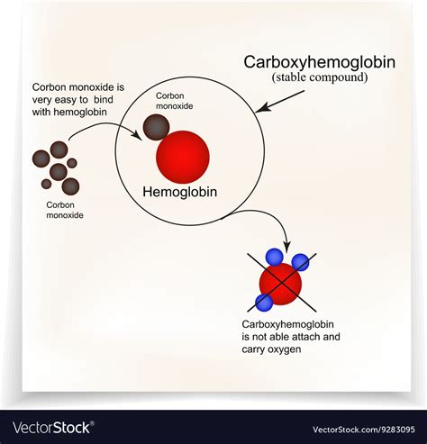 Carboxyhemoglobin Joining The Hemoglobin Carbon Vector Image