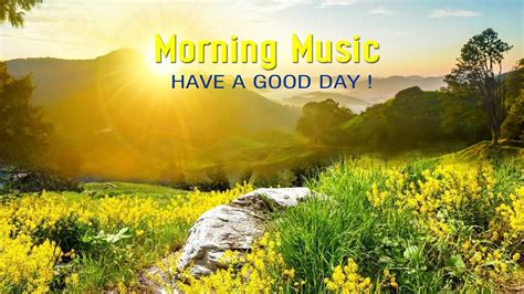 The Best Good Morning Music Positive Feelings And Energy Background