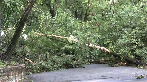 Maltempo A Milano La Montagnetta Di San Siro Devastata Dal Vento