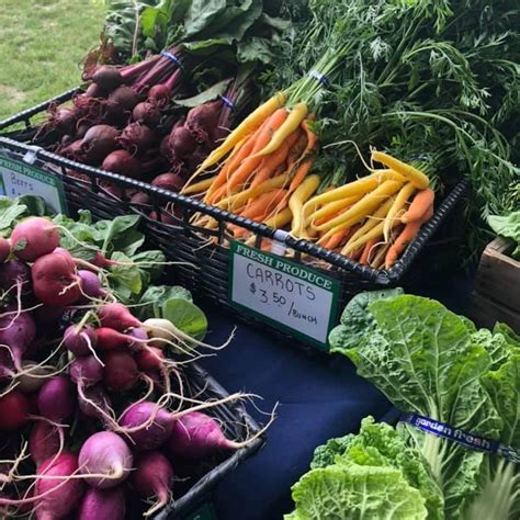Week 18 Medford Farmers Market