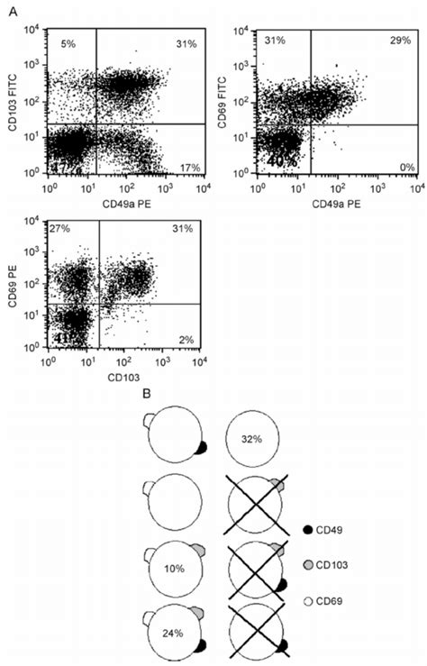 A Example Of Three Colour Flow Cytometry Dot Plots From Two Separate