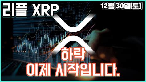 리플 Xrp 하락 이제 시작입니다 Youtube