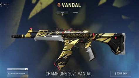 valorant vandal skins      pro game guides